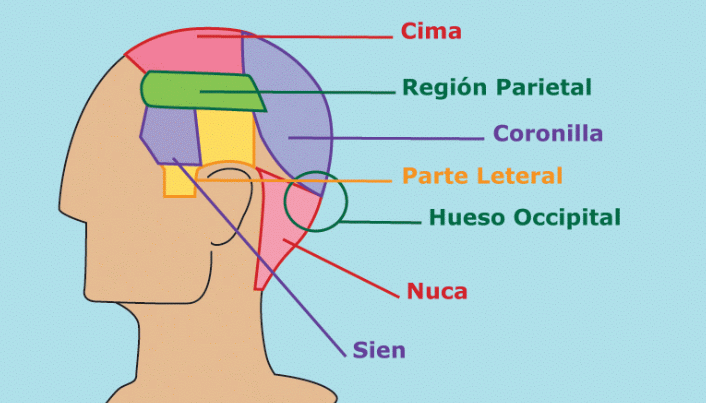 Partes de pelo que pierdes durante la quimioterapia con el casco frío
